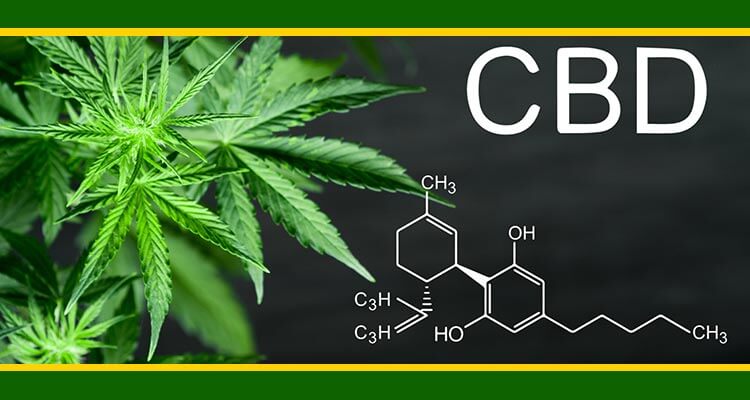 CBD